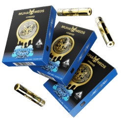 Blueberry Haze Muha Meds Cart 1000MG | Hybrid