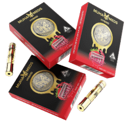 Strawberry Runtz Muha Meds Cart 1000MG | Hybrid