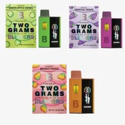 2G LED Fruits wegwerpvapes